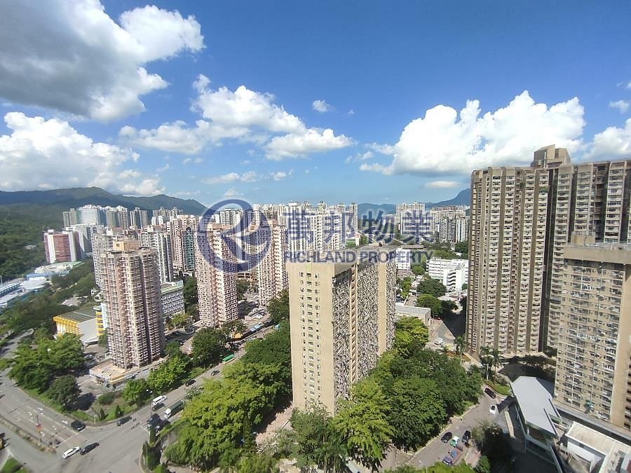 太和村 TAI WO ESTATE 高層