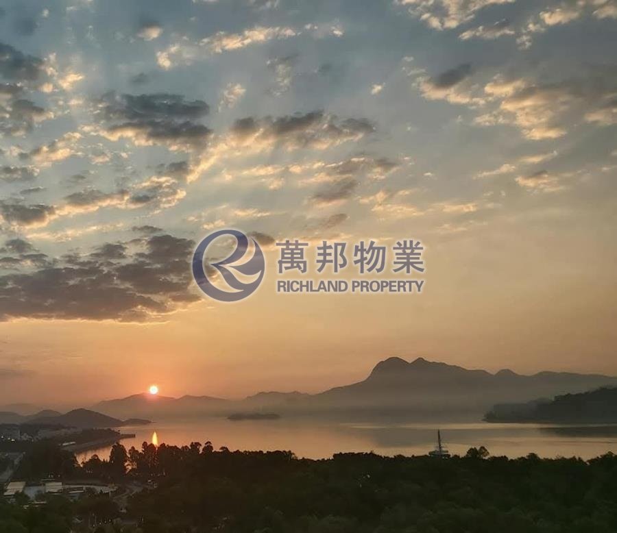 富善村 FU SHIN EST 高層