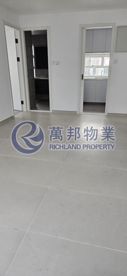 汀角村 TING KOK VILLAGE 低層