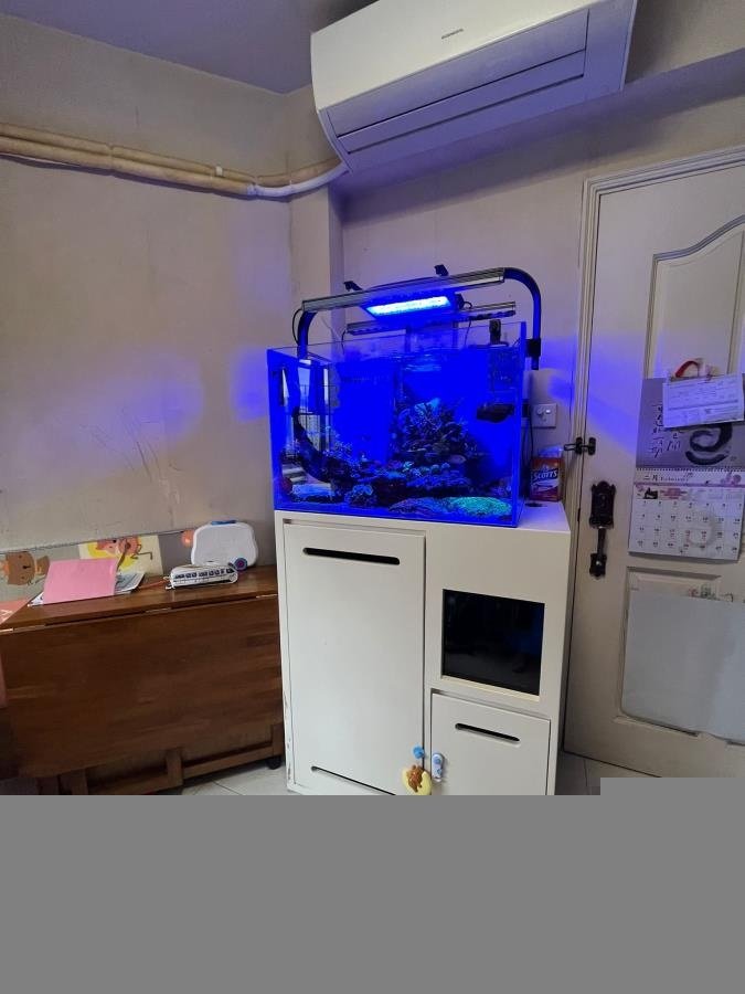 八號花園 EIGHTLAND GDN 中層 - 萬邦物業 - 大埔地產代理