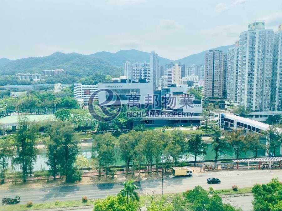 大埔中心 TAI PO CTR 高層