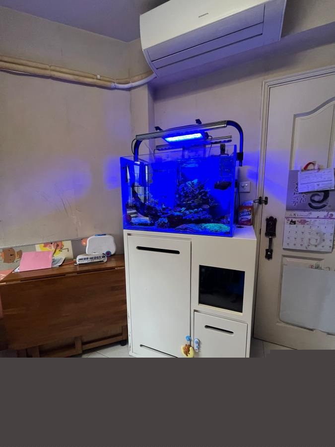 八號花園 EIGHTLAND GDN 中層 - 萬邦物業 - 大埔地產代理