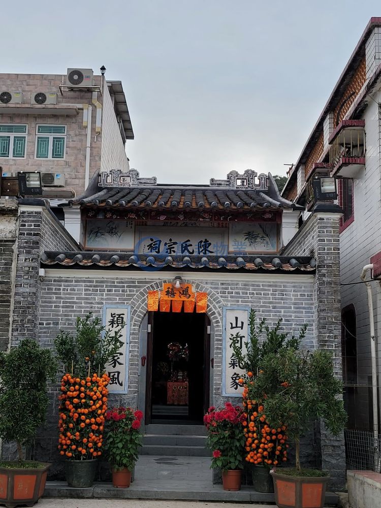 社山村 | 大埔村屋 - 萬邦物業 - 大埔地產代理