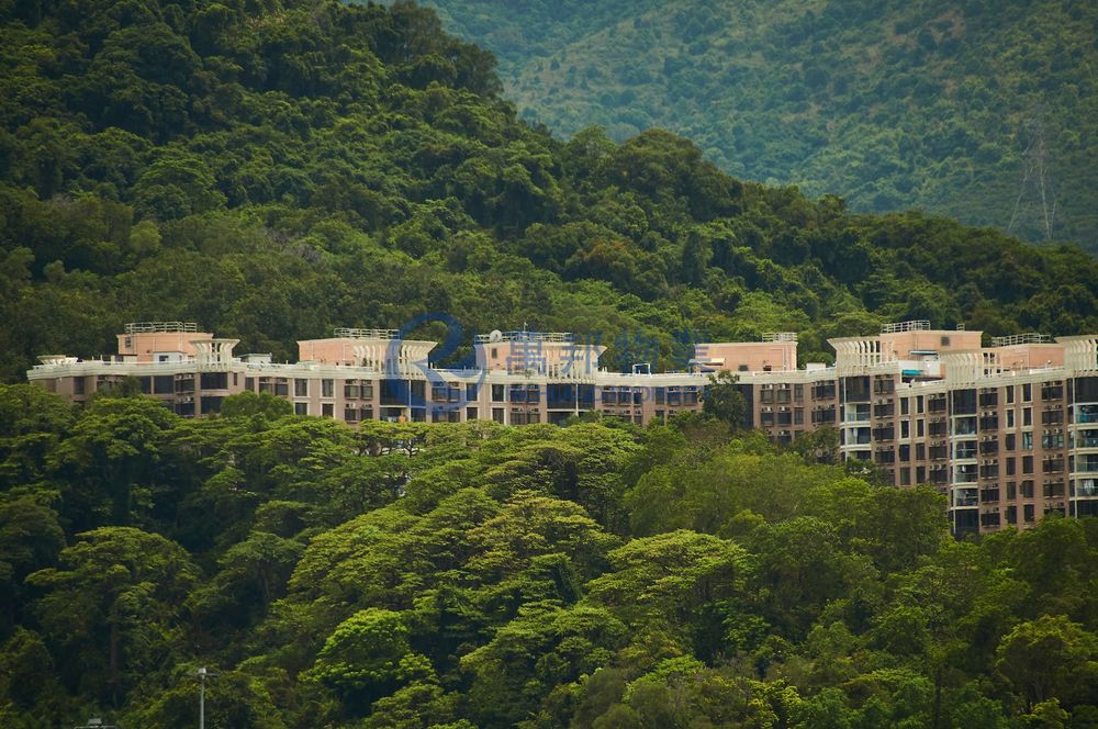 大埔寶馬山 | 大埔豪宅 | 半山 - 萬邦物業 - 大埔地產代理