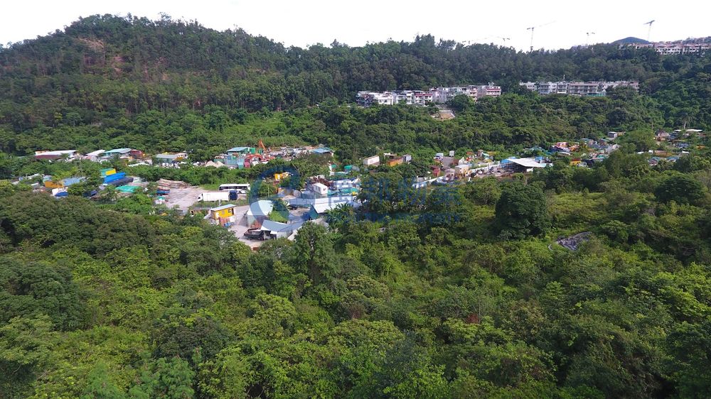 雅麗山莊 | 大埔村屋 - 萬邦物業 - 大埔地產代理