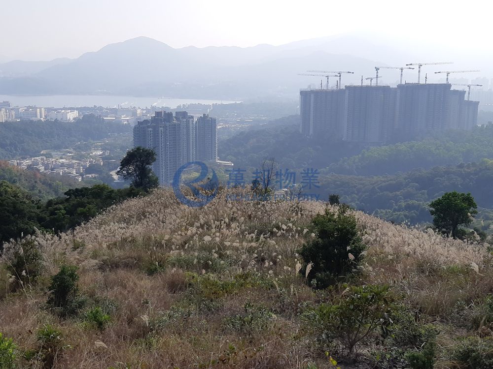鳳園 | 大埔村屋 - 萬邦物業 - 大埔地產代理