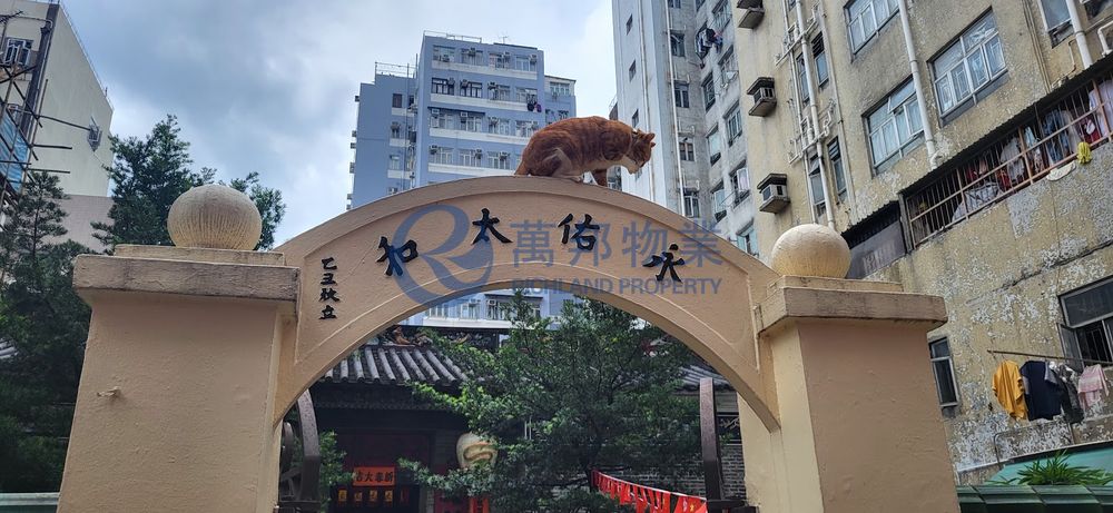 宏基大廈 | 大埔墟 - 萬邦物業 - 大埔地產代理