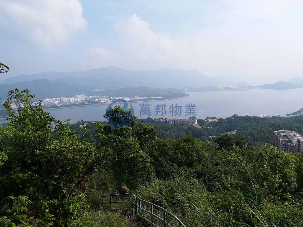 荔枝山 | 大埔村屋 - 萬邦物業 - 大埔地產代理