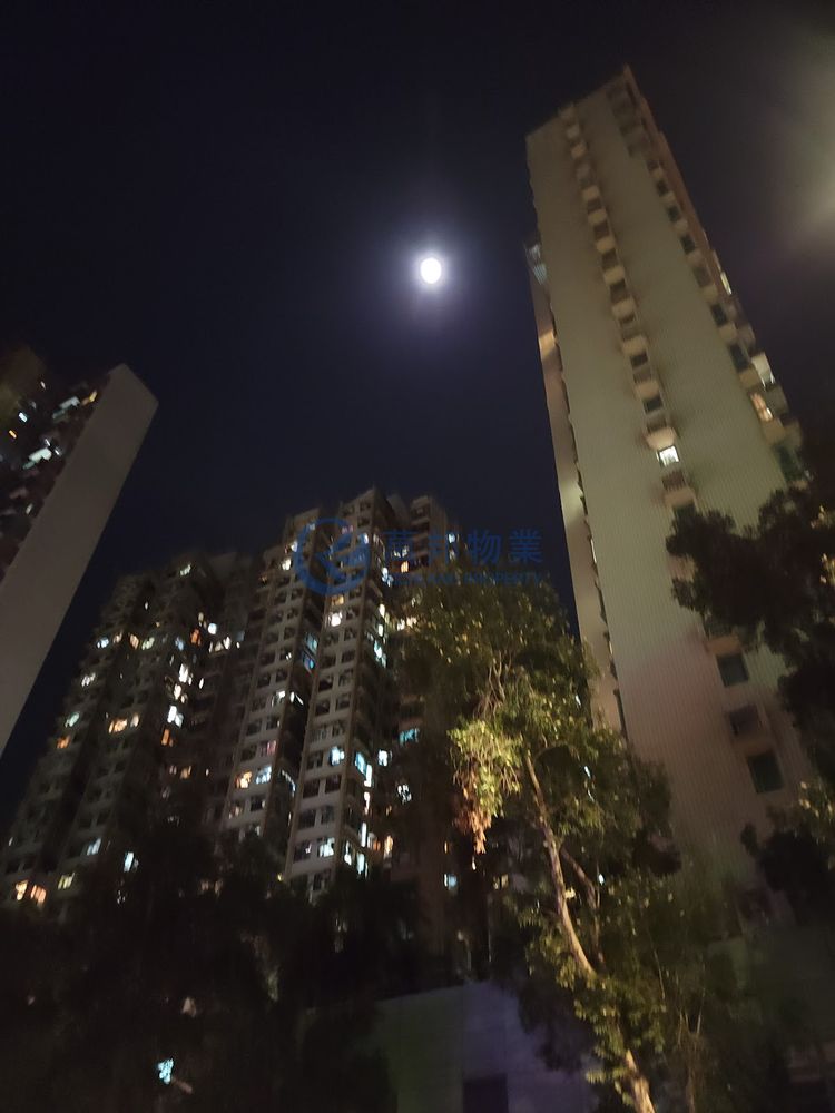 翠林閣 | 大埔市中心 - 萬邦物業 - 大埔地產代理
