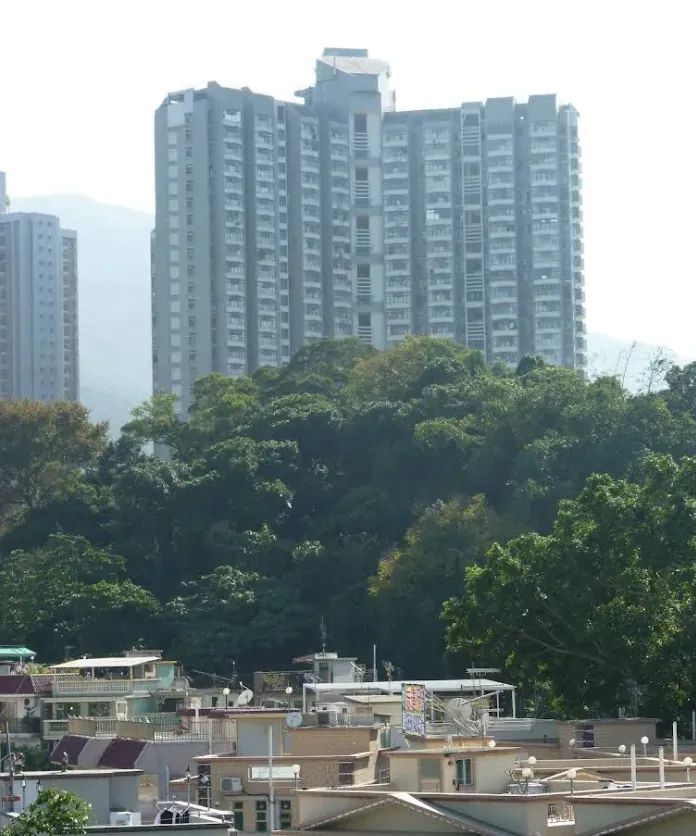 新達廣場 | 大埔市中心 - 萬邦物業 - 大埔地產代理