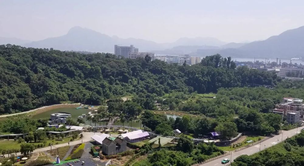 嵐山 | 大埔市中心 - 萬邦物業 - 大埔地產代理