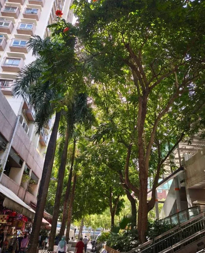 翠屏花園 | 大埔市中心 - 萬邦物業 - 大埔地產代理