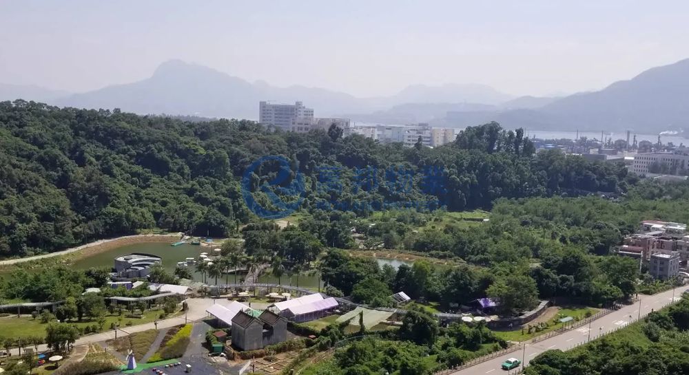 嵐山 | 大埔市中心 - 萬邦物業 - 大埔地產代理