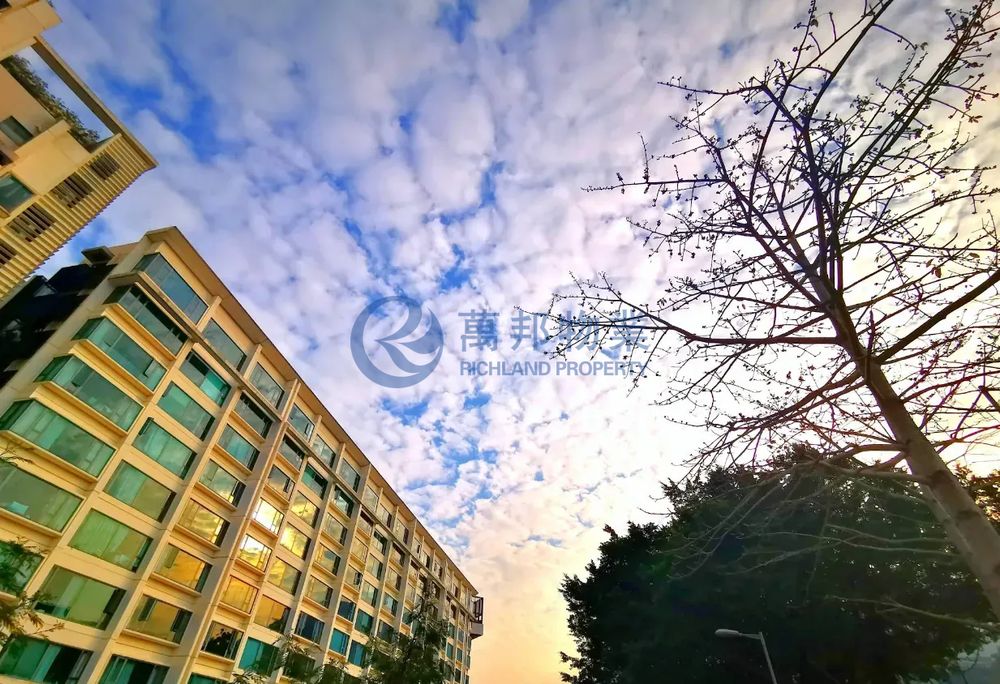 天賦海灣 | 白石角 - 萬邦物業 - 大埔地產代理