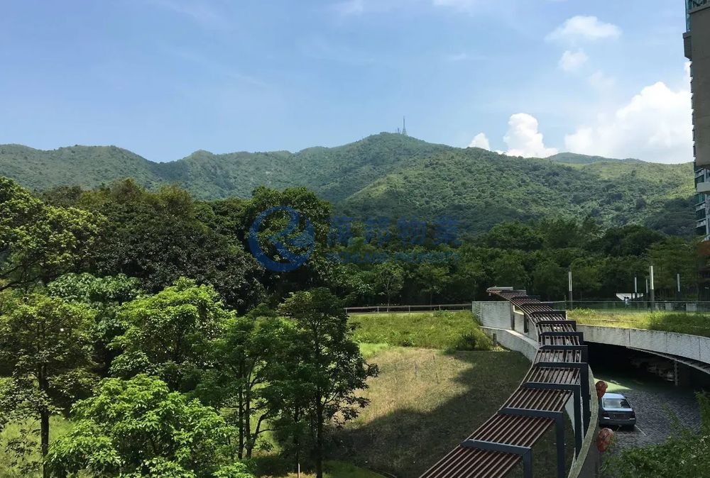 嵐山 | 大埔市中心 - 萬邦物業 - 大埔地產代理